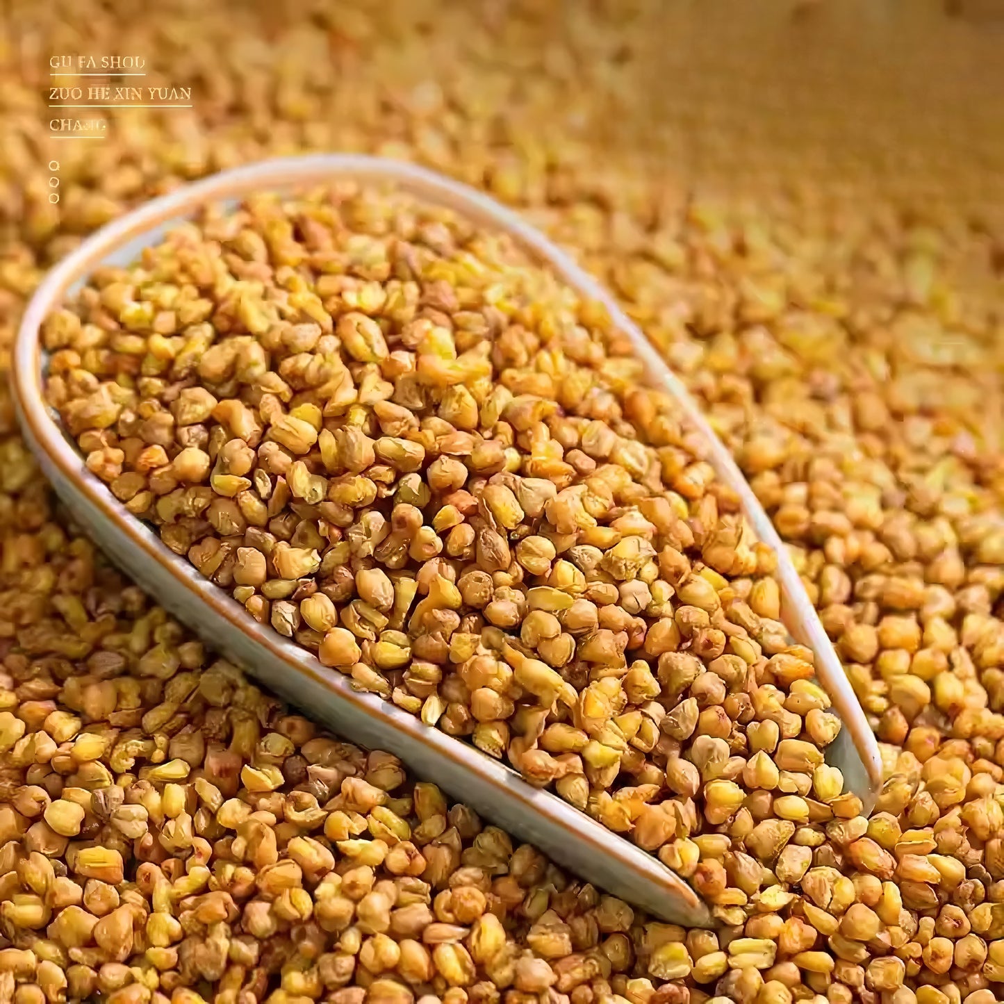 Solara Buckwheat